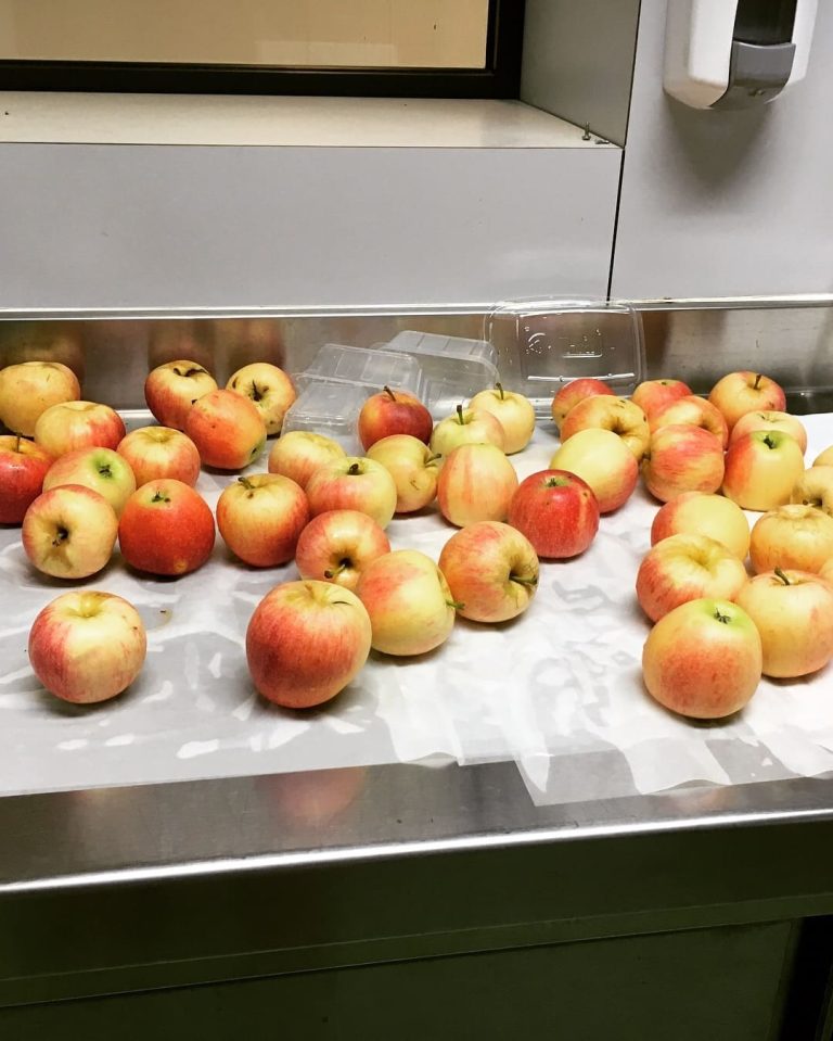 Industrial. Higiene y desinfección fruta y verdura